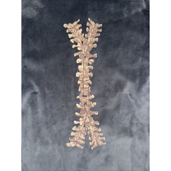 Velour Full Zip Skeleton Hoodie Gray Men’s Medium Gothic Y2K Grunge 19x25 - Picture 6 of 7